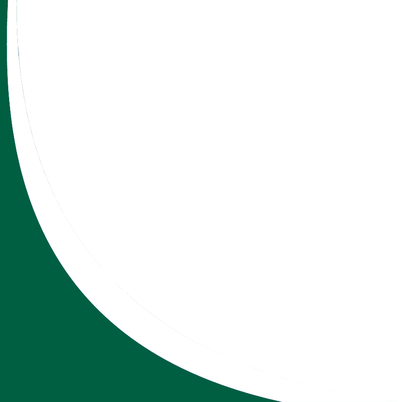 Decorative Curve